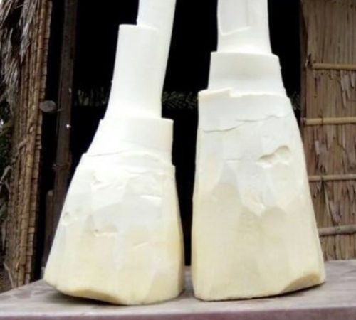 Củ hủ dừa bảo quản được bao lâu ?