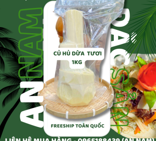 Giá Trị Dinh Dưỡng Của Củ Hủ Dừa: Ăn Ngon, Sống Khỏe Giá Trị Dinh Dưỡng Của Củ Hủ Dừa: Ăn Ngon, Sống Khỏe