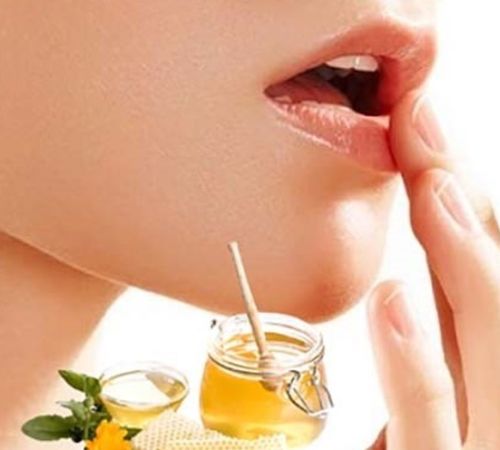 Dầu dừa Bến Tre giải pháp hiệu quả chống khô môi Dầu dừa Bến Tre giải pháp hiệu quả chống khô môi