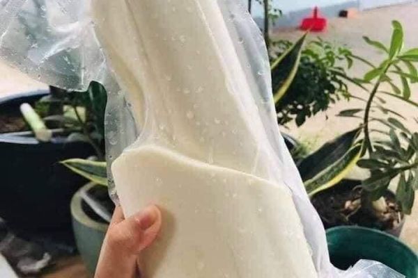 Cung cấp Củ hủ dừa Bến Tre giá sỉ và lẻ trên toàn quốc