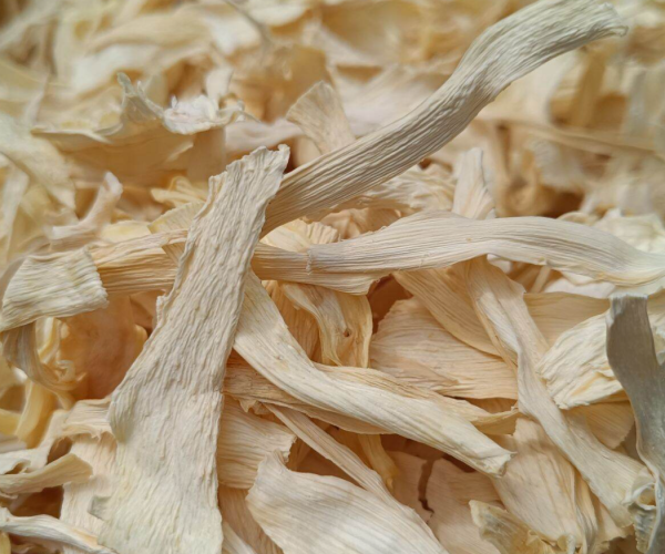 Quy trình sơ chế củ hủ dừa sấy khô Quy trình sơ chế củ hủ dừa sấy khô