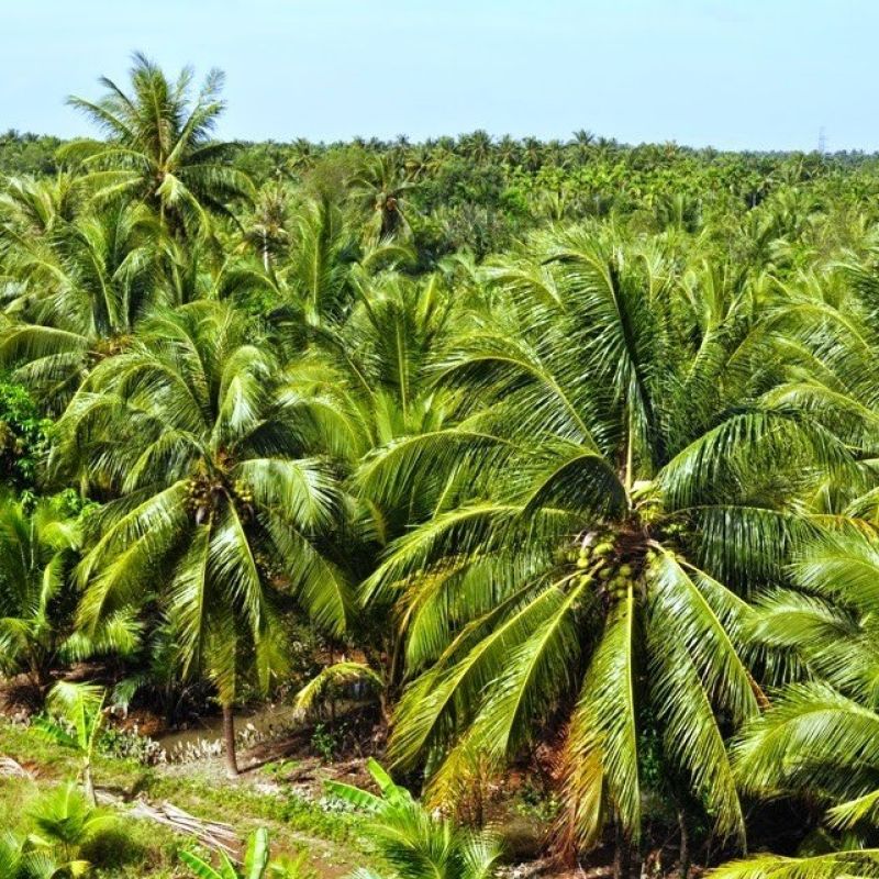 An toàn, chất lượng
