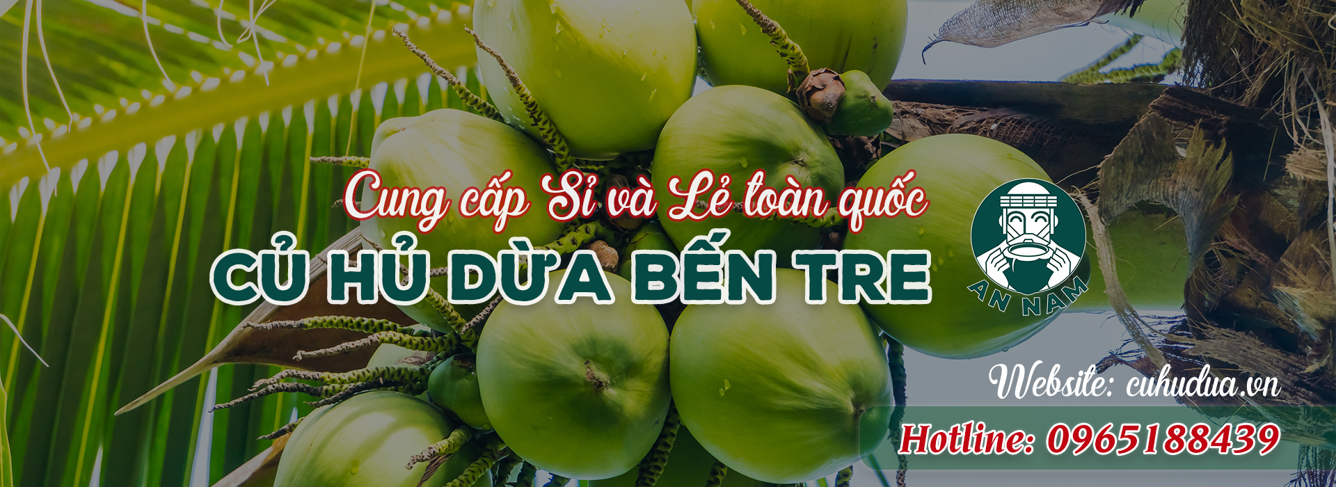 Củ hủ dừa Bến Tre
